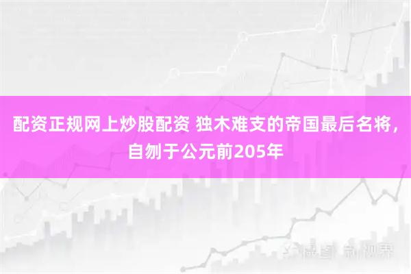 配资正规网上炒股配资 独木难支的帝国最后名将,自刎于公元前205年