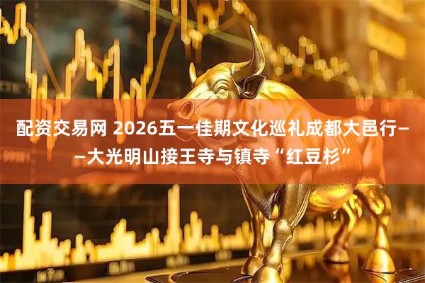 配资交易网 2026五一佳期文化巡礼成都大邑行——大光明山接王寺与镇寺“红豆杉”