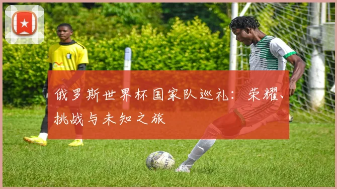 俄罗斯世界杯国家队巡礼：荣耀、挑战与未知之旅
