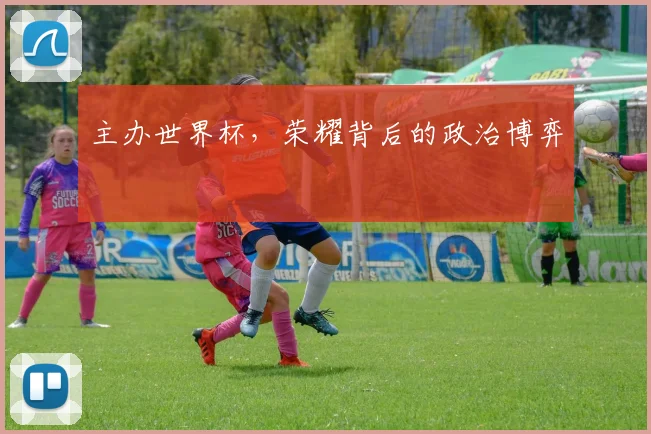 主办世界杯，荣耀背后的政治博弈